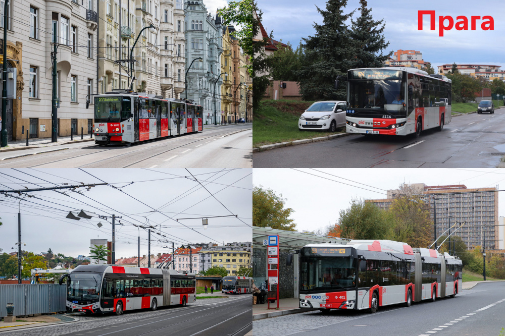 205 praga pidpis