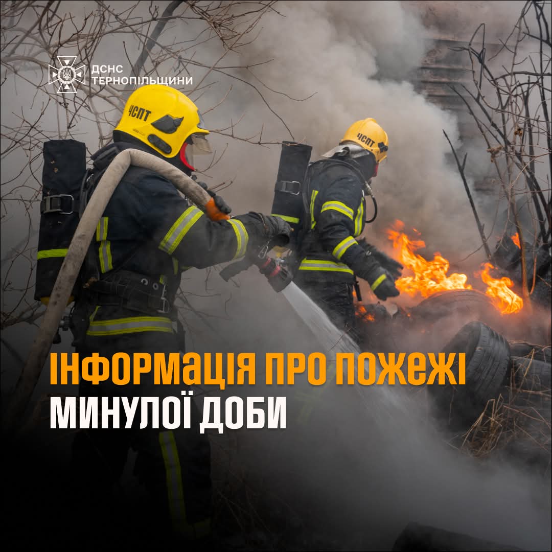 FB IMG 1740556106626