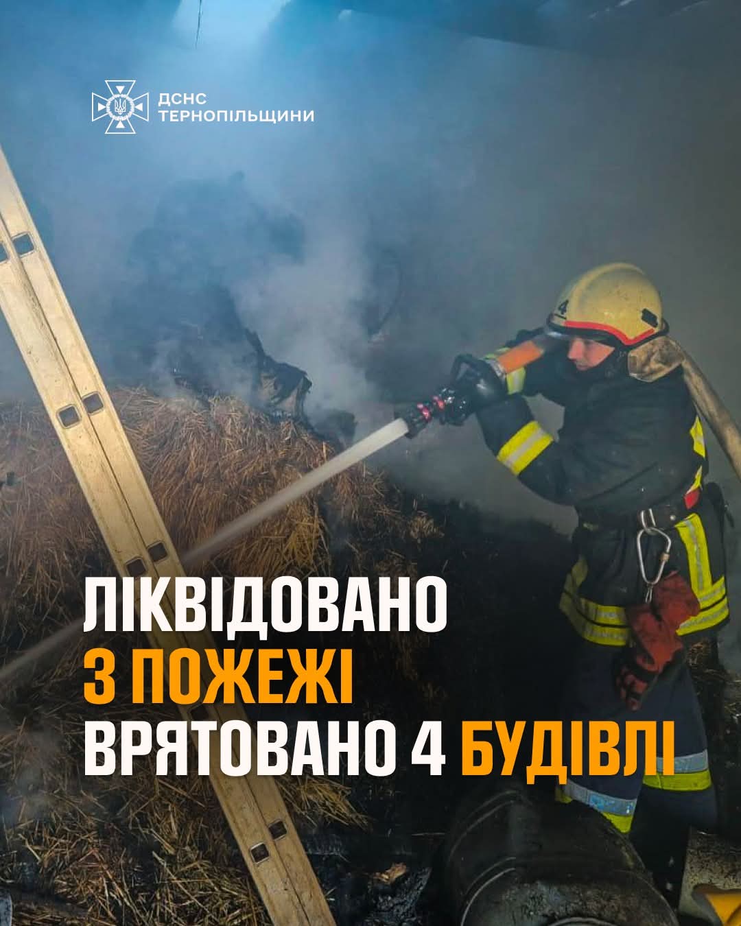 FB IMG 1740984552629