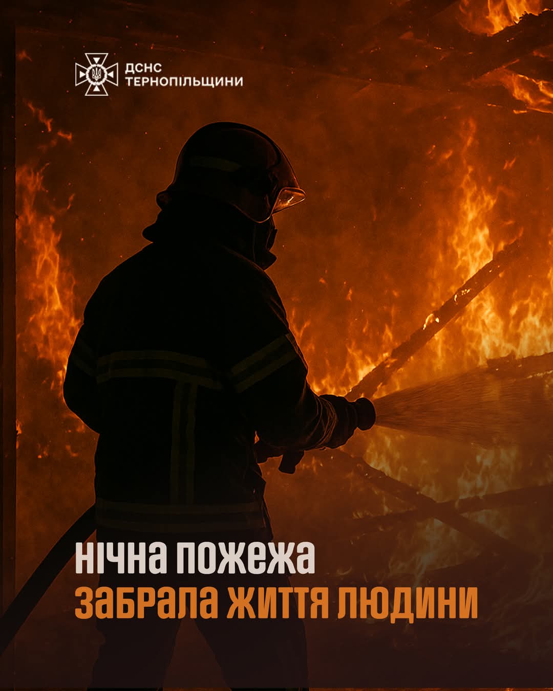 FB IMG 1747031725799