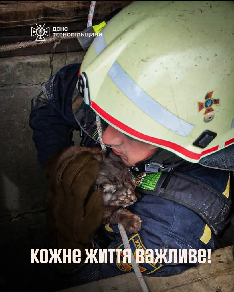 FB IMG 1747380512720