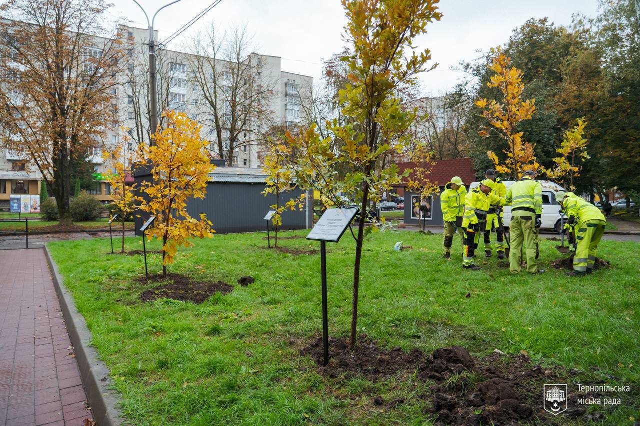 Plant Trees Support Armyn