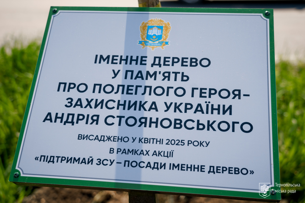 Дерева 26042025 7