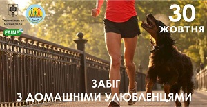 246478700 2906536596343521 5322227419115644776 n 1