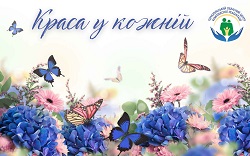 8b3ea4caf70e5c5c968b49b275fcc588