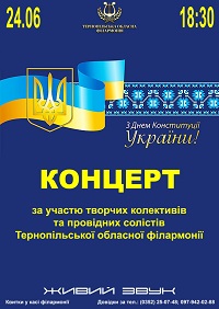 День Конституції 1.jpg2