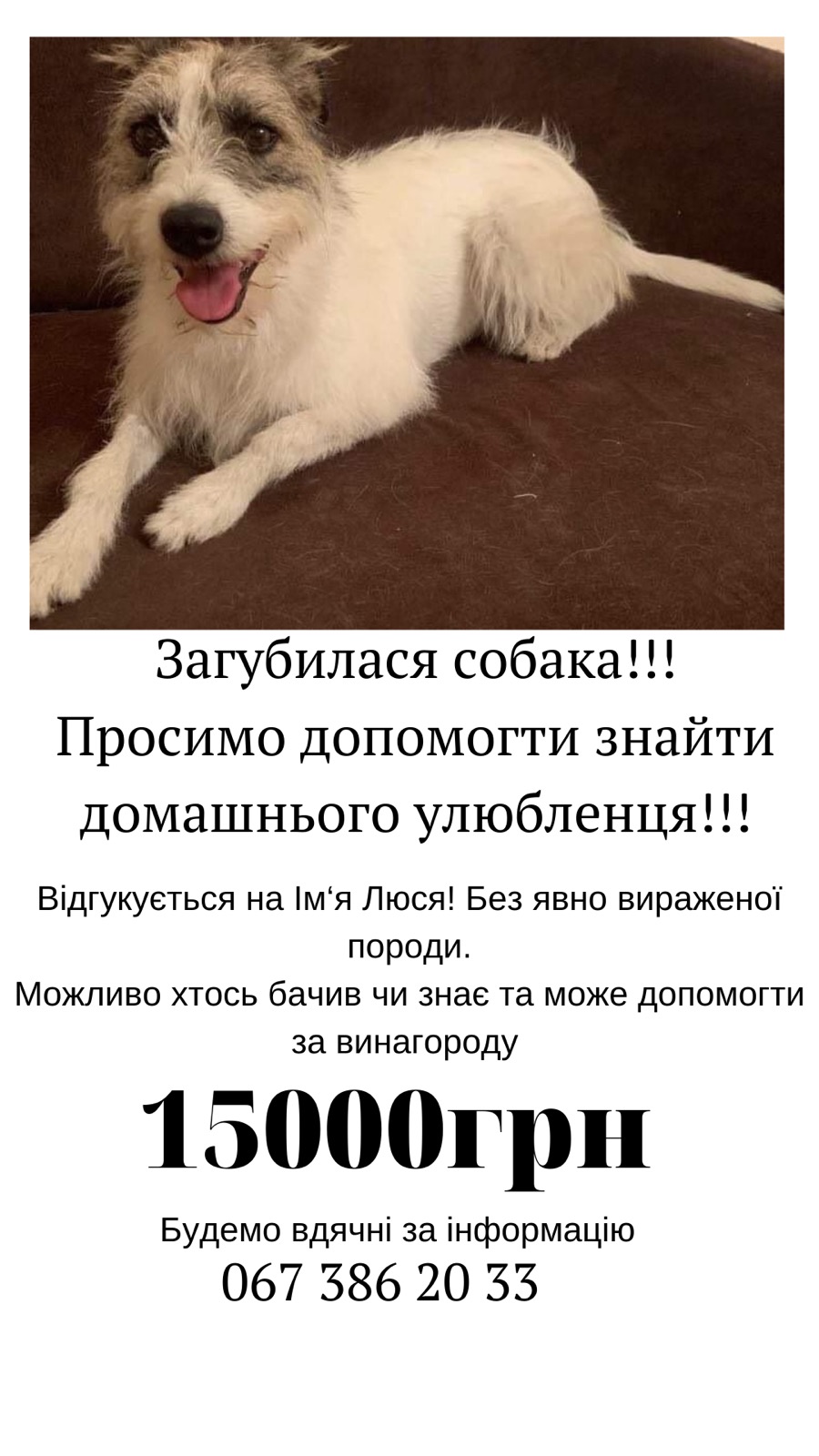 зображення viber 2020 10 08 17 05 27
