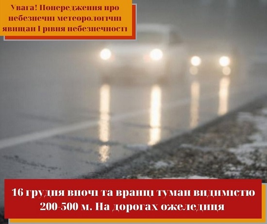 131410358 1838295712976607 4170352497897850098 n