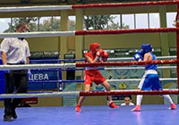 boks krysiuk harkiv 10 2020 1 1