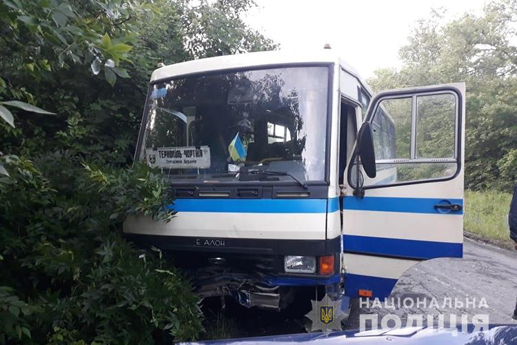 dtpavtobus2