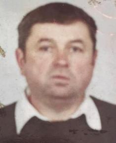 gnatyk 