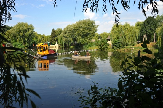 ochishchenyan stavu vid namulu ternopil 718 06 2020