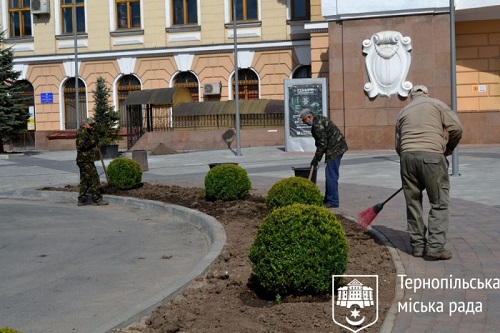 visadgennya zelenih nasadgen na privokzalnomu maydani ternopolya 23 04 1