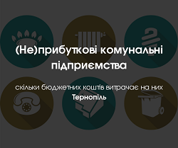 Неприбуткові комунальні підприємства