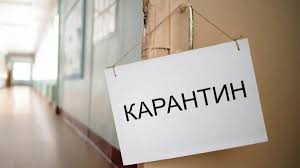 карантин 6464
