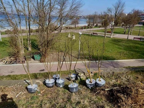 парк 0202