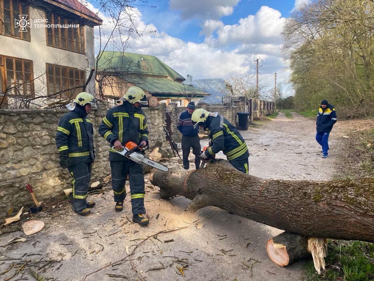 FB IMG 1777270057631