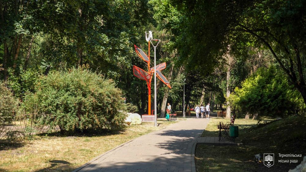 IMG 20250707 092951 453