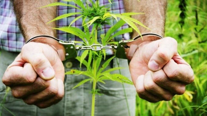 IMG 20260417 090521 388