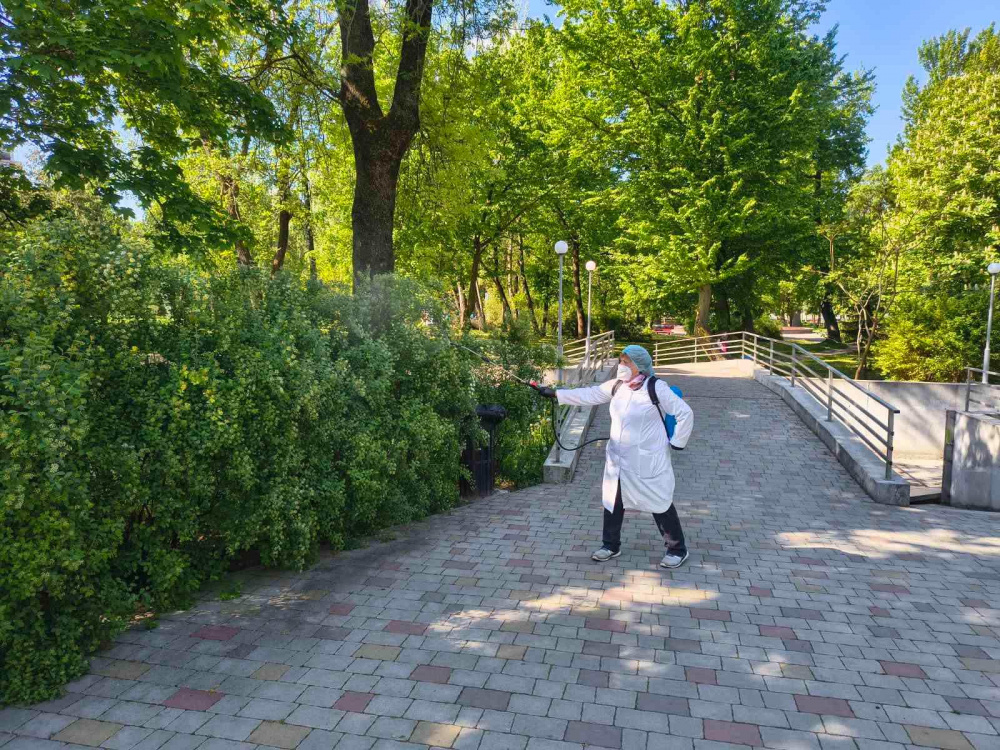 obrobka vid klishchiv 26 05 26