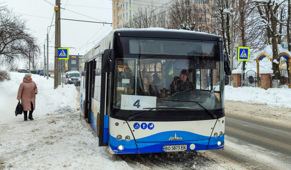 troleysbus 090226